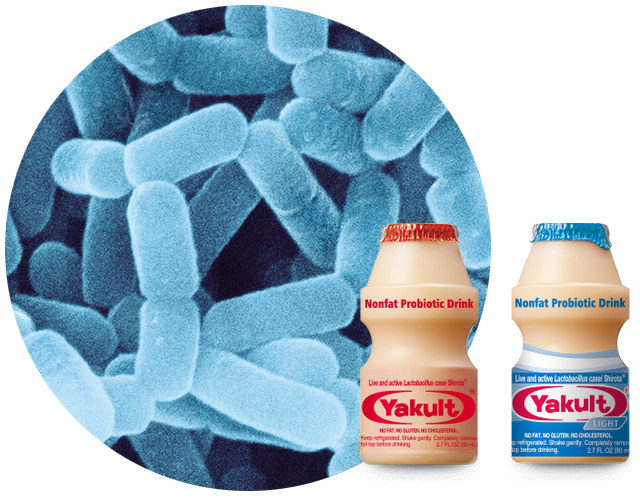 Yakult & Yakult Light Product Information | Yakult & Yakult Light | Probiotic Drink